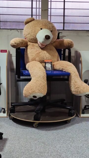 Bärenstarke🐻 Stühle findet Ihr bei uns! Kommt vorbei und lasst euch beraten! #holsab #lagerverkauf #büromöbel #gebrauchtebüromöbel #ergonomie #homeoffice #nachhaltigkeit #hannover #gronau